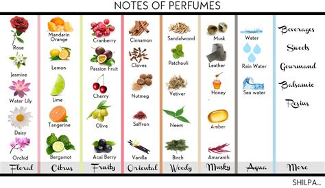 perfume top notes list